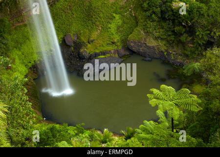 Bridal Veil Falls, in der Nähe von Raglan, Waikato, Nordinsel, Neuseeland Stockfoto