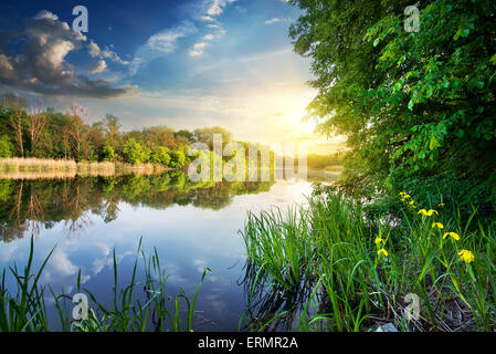 Frühling Fluss und grünen Wald bei Sonnenuntergang Stockfoto