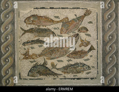 Alten Mosaikboden mit Fisch. 2. bis 3. Jahrhundert. Römische Nationalmuseum. Palast Massimo. Rom. Italien. Stockfoto