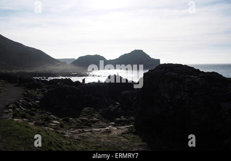 "Giants Causeway" Northern Ireland Stockfoto