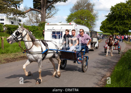 Appleby in Westmorland, U.K. 4. Juni 2015. Zigeuner mit einem Pferd und Falle in Appleby Horse Fair. Die Messe existiert seit 1685 unter dem Schutz einer Urkunde von König James II. Ab der ersten ist Donnerstag im Juni und läuft für eine Woche die Messe von Roma-Zigeuner, Pferdehändler und Reisende aus in ganz Europa besucht. © Mark Richardson/Alamy Leben Stockfoto