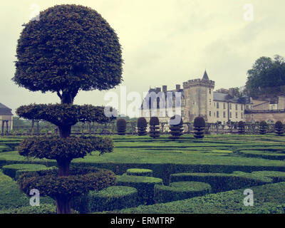 Der Ziergarten im Le Chateau Villandry in der Loire-Region von Frankreich Stockfoto