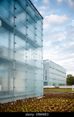 Perspektive der transluzenten Glas-Fassaden. Schlesischen Museum, Kattowitz, Polen. Architekt: Riegler Riewe Architekten, 2014. Stockfoto