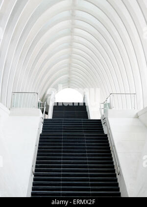 Treppe in der Station La Gare Liège-Guillemins, Architekt Santiago Calatrava, Lüttich, Wallonien, Belgien Stockfoto