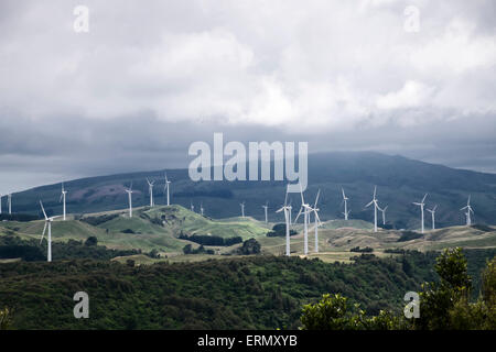 Turbinen, die Erzeugung von Strom bei der Meridian-Energie-Windpark in Te Apiti, Manawatu Gorge, Neuseeland. Stockfoto