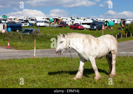 Appleby in Westmorland, U.K. 4. Juni 2015. Zigeuner-Lager in Appleby Horse Fair. Die Messe existiert seit 1685 unter dem Schutz einer Urkunde von König James II. Ab der ersten ist Donnerstag im Juni und läuft für eine Woche die Messe von Roma-Zigeuner, Pferdehändler und Reisende aus in ganz Europa besucht. Bildnachweis: Mark Richardson/Alamy Live-Nachrichten Stockfoto