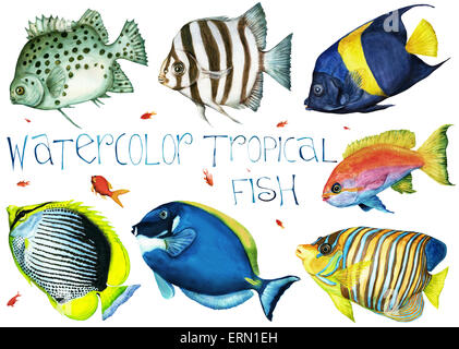 Aquarell tropische Fische setzen auf weißem Hintergrund Stockfoto