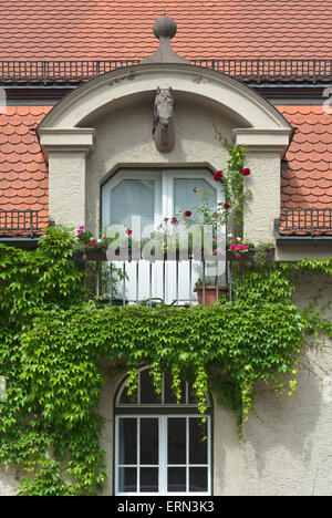 Klettern Reben von Efeu an ein Haus mit Pferdekopf und Blumen Stockfoto