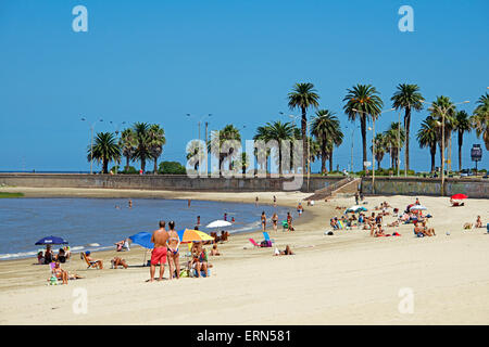 Playa de Los Pocitos Montevideo Uruguay Stockfoto
