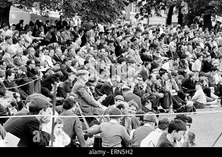 Für die erste Zeit Grafschaft war an einem Sonntag Cricket gespielt. Das Spiel zwischen Essex und Somerset fand am Valentinstag Park in Ilford. Massen, die das Spiel beobachten. 15. Mai 1966. Stockfoto