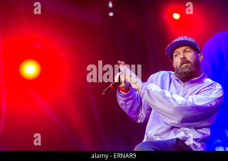 Berlin. 2. Juni 2015. Limp Bizkit-Konzert am 2. Juni 2015 in Berlin. © Dpa/Alamy Live-Nachrichten Stockfoto