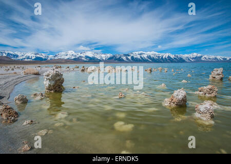 Küstenlinie Felsformationen im kalifornischen Mono Lake Stockfoto