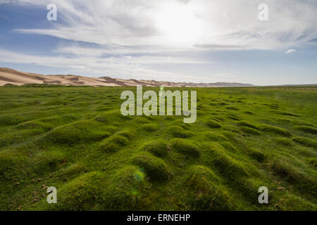 Seruun Bulag Oase durch die Sanddünen der Khongoryn Els, Gobi-Gurvansaikhan-Nationalpark, Ömnögovi Provinz, Mongolei Stockfoto