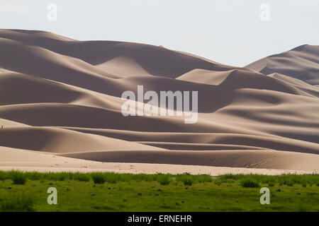 Seruun Bulag Oase durch die Sanddünen der Khongoryn Els, Gobi-Gurvansaikhan-Nationalpark, Ömnögovi Provinz, Mongolei Stockfoto