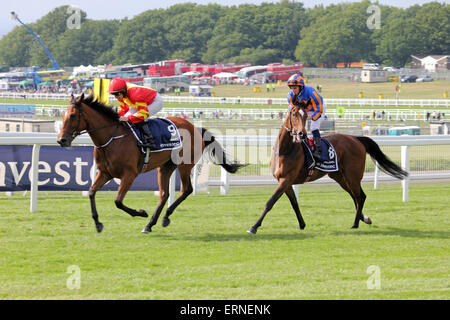 Epsom Downs Surrey UK. 5. Juni 2015. Es war Ladies Day 2015 in Epsom, mit dem Höhepunkt des Tages die Investec Eichen (Stutfohlen Gruppe 1, Klasse 1), laufen über eine Distanz von 1m 4f 10 y. 5/2 Favorit Nr. 8 (orange und blaue Farben) Legatissimo wurde auf den zweiten Platz von der Foto-Finish-Gewinner, Nr. 9 (rote und gelbe Farben) geschlagen und 20/1 Außenseiter zu qualifizieren, geritten von C O' Donoghue und von A P O'Brien ausgebildet. Hier sind die Pferde gesehen Überschrift für den Start. Bildnachweis: Julia Gavin UK/Alamy Live-Nachrichten Stockfoto