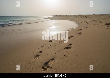 Spuren im sand Stockfoto