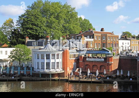 Mitre Hotel und Höckerschwan, Hampton Court, East Molesey, Surrey, England, Großbritannien, Deutschland, UK, Europa Stockfoto