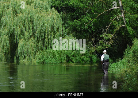 Ein Mann Fliegenfischen am Fluß Avon in Wiltshire Stockfoto