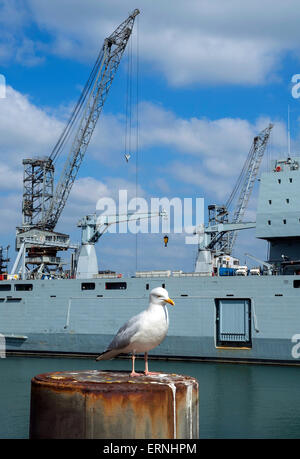 Pendennis Shipyard, Falmouth, Cornwall, UK Stockfoto