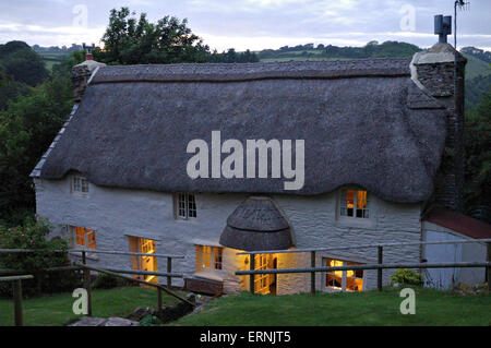 Ein traditionelles Reetdachhaus in Devon, England Stockfoto