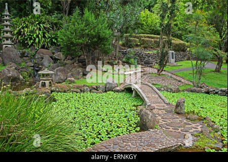 Ein japanischer Garten mit Koi-Teichen im IAO Valley auf Maui, Hawaii. Stockfoto