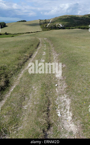 Tennyson Trail, Mottistone, Isle of Wight, England, UK, GB. Stockfoto