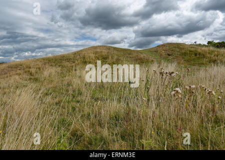 Runde Barrow, Mottistone unten, Nr. Mottistone, Isle Of Wight, England Stockfoto