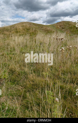 Runde Barrow, Mottistone unten, Nr. Mottistone, Isle Of Wight, England Stockfoto