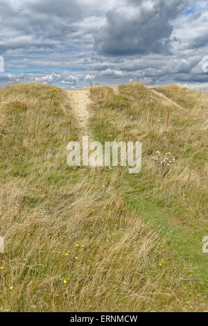 Runde Barrow, Mottistone unten, Nr. Mottistone, Isle Of Wight, England Stockfoto