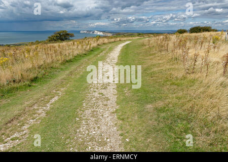 Freshwater Bay und Tennyson Down in der Ferne, Tennyson Trail, Mottistone, Isle of Wight, England, UK, GB. Stockfoto