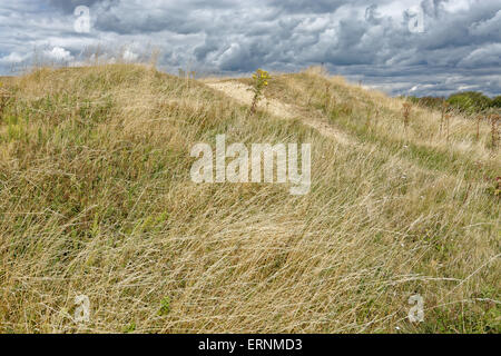 Runde Barrow, Mottistone unten, Nr. Mottistone, Isle Of Wight, England Stockfoto