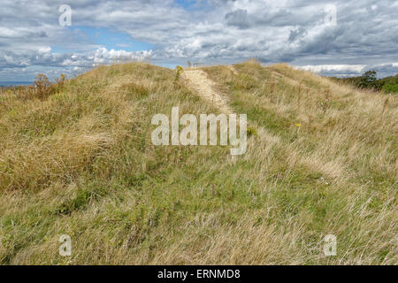 Runde Barrow, Mottistone unten, Nr. Mottistone, Isle Of Wight, England Stockfoto