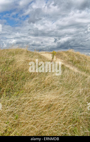 Runde Barrow, Mottistone unten, Nr. Mottistone, Isle Of Wight, England Stockfoto