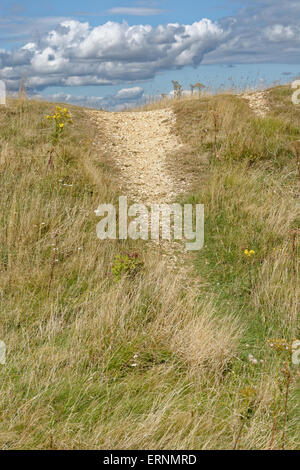 Runde Barrow, Mottistone unten, Nr. Mottistone, Isle Of Wight, England Stockfoto