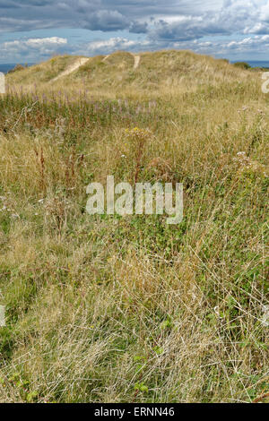 Runde Barrow, Mottistone unten, Nr. Mottistone, Isle Of Wight, England Stockfoto