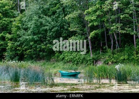 Grüne Fischerboot vor Anker am Fluss Venta, Kuldiga, Lettland Stockfoto