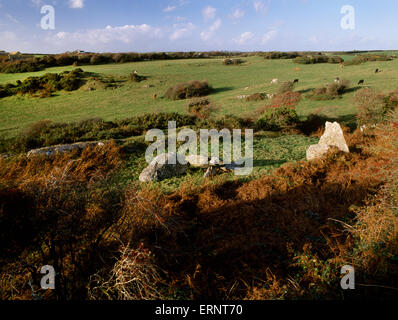 DIN Dryfol neolithische Grab, Anglesey: Reste von bis zu 4 Grabkammern, gebaut in einer Linie W-E (L-R) einmal durch eine aufwendige 62m langen Cairn abgedeckt. Stockfoto