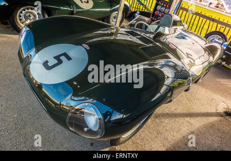 1955 Jaguar D-Type, Salvadori Cup Teilnehmer im Fahrerlager bei der 73. Goodwood Members Meeting, Sussex, UK. Stockfoto