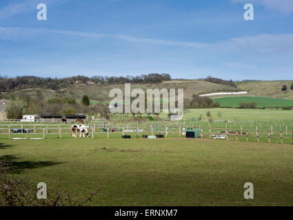 Blick auf Pferdekoppeln am Fuße der North Downs (Hügel) in Kent, UK Stockfoto