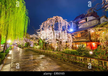 Kyoto, Japan in der Altstadt von Shirakawa während der Frühjahrssaison. Stockfoto