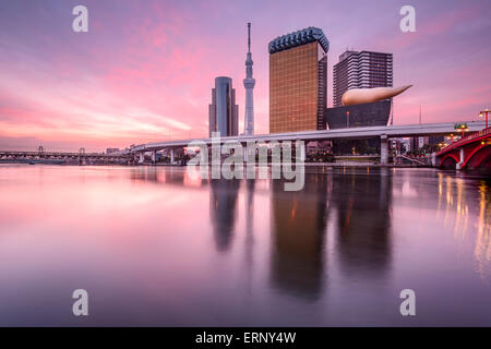 Skyline von Tokyo, Japan auf dem Sumida-Fluss im Morgengrauen. Stockfoto