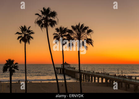 Die Palmen in Manhattan Beach und Pier unter einem orange Sonnenuntergang, Los Angeles, Kalifornien. Stockfoto