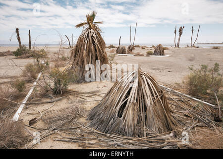 Salton City, Kalifornien, USA. 4. Juni 2015. Nur noch wenig von Salton Bay Yacht Club, ein beliebtes Ausflugsziel in den 1950er und 1960er Jahre, mit Ausnahme von Toten und sterbenden Palmen und einem leeren Parkplatz. Wie California mit einer schweren Dürre geltend macht, ist der Saltonsee des Landes größte Binnengewässer, mit einer alarmierenden Rate verdunstet. Salton Stadt und andere einst blühenden Gemeinschaften und Resorts entlang der Uferpromenade sind jetzt größtenteils aufgegeben.  Bildnachweis: Scott London/Alamy Live-Nachrichten Stockfoto