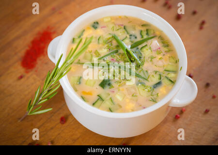 Russische kalte Gemüsesuppe auf Joghurt, saurer Milch Basis - Lauchzwiebel Stockfoto