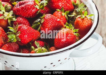 Erdbeeren in Sieb Stockfoto