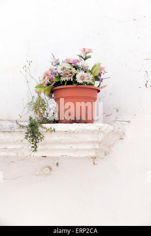 Blumentopf mit künstlichen Blumen auf einem Felsvorsprung der weiß getünchten Wand Stockfoto