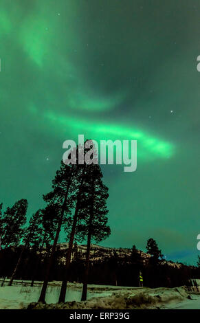 Anzeige der Nordlichter (Aurora Borealis) Alta Norwegen Scandinavia Europa Stockfoto