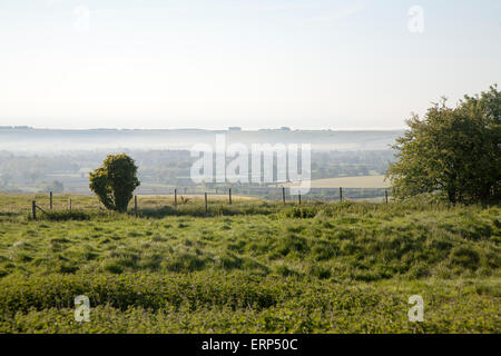 Am frühen Morgen Bodennebel liegende Felder im Vale of Pewsey, in der Nähe von Alton Barnes, Wiltshire, England Stockfoto