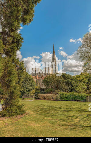 Chichester Kathedrale angesehen vom Schlossgarten des Bischofs an einem schönen Tag im Frühjahr, West Sussex, England, Vereinigtes Königreich. Stockfoto