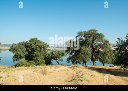 Korkeichen, punktieren die Landschaft in Andalusien, Spanien Stockfoto